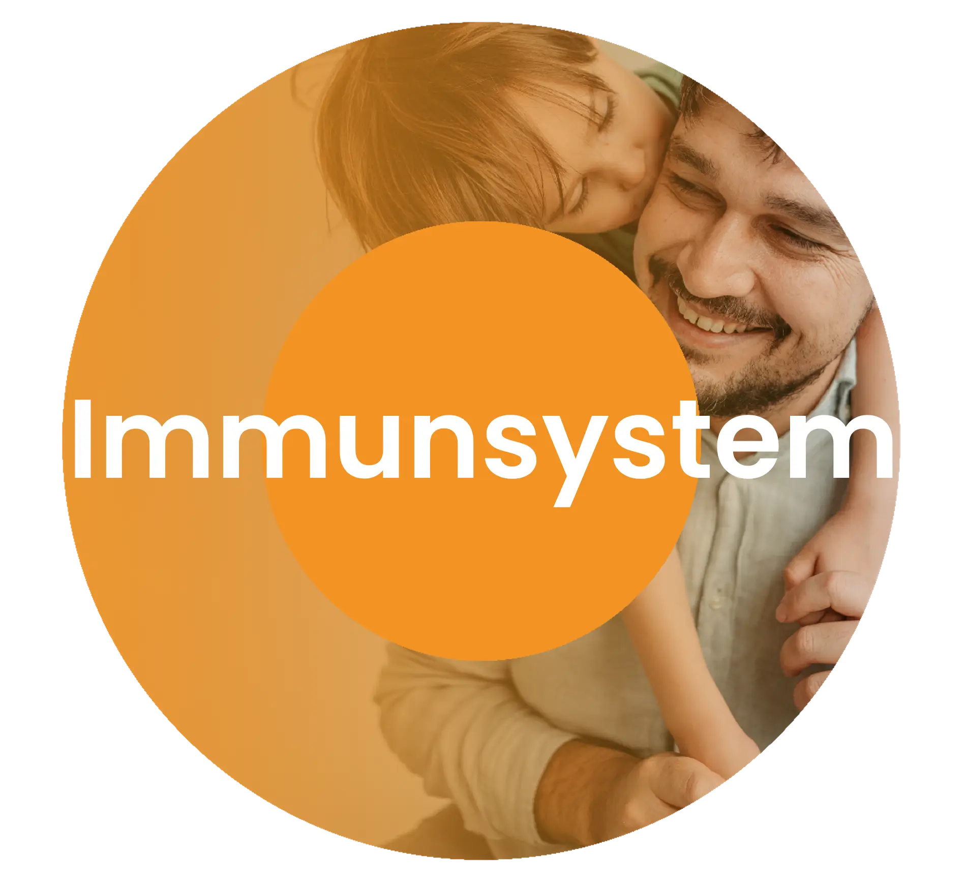 Headerbild Anwendungsgebiet Immunsystem